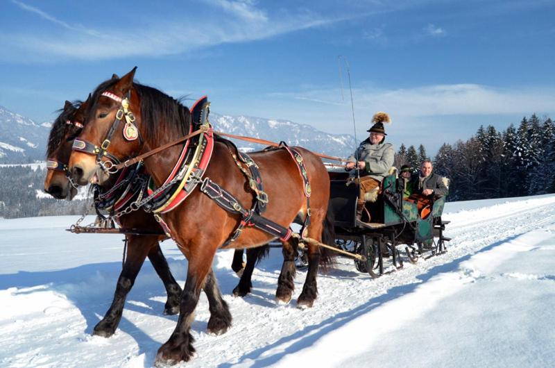 Hotel Unterwoetzlhof Abtenau Zewnętrze zdjęcie